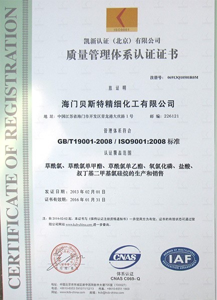 ISO9001(Chinese)