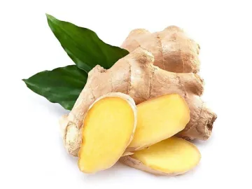 Ginger Extract