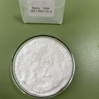17833-53-3 CAS N-Methyl-DL-Aspartic Acid