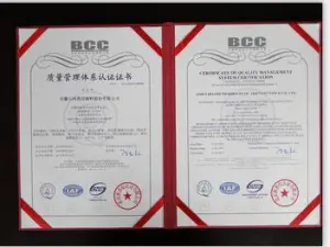 ISO9001(Chinese)