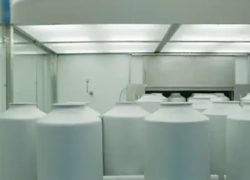 Roxatidine