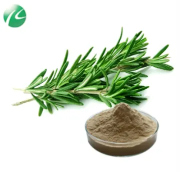 Rosemary Herb Extract