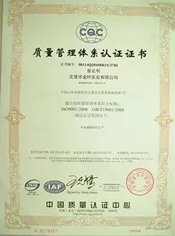 ISO9001(Chinese)