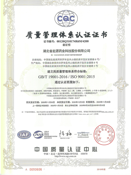 ISO9001(Chinese)