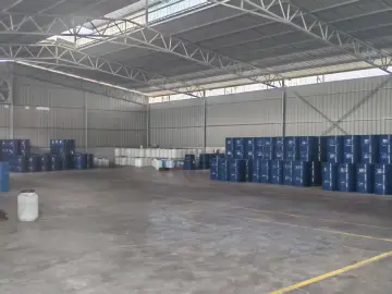 IPP