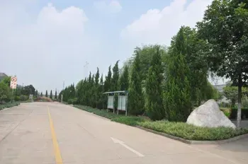 其他图片