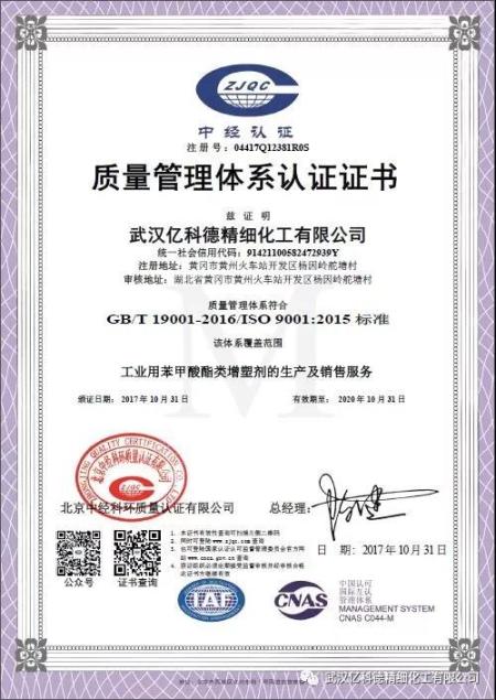 ISO9001(Chinese)