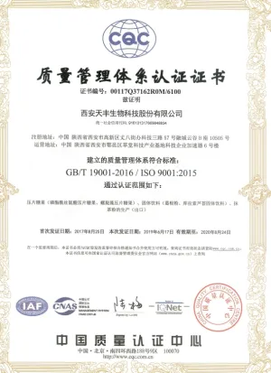 ISO9001(Chinese)
