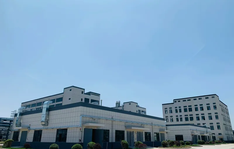 公司参展