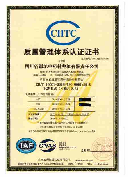 ISO9001(Chinese)