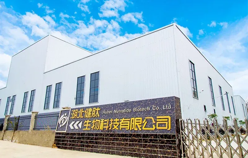 厂房大门