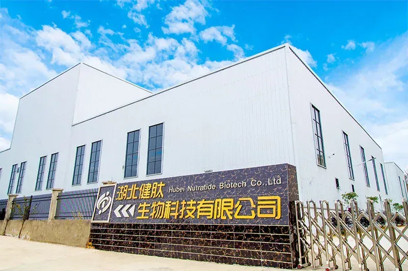 Factory Gate