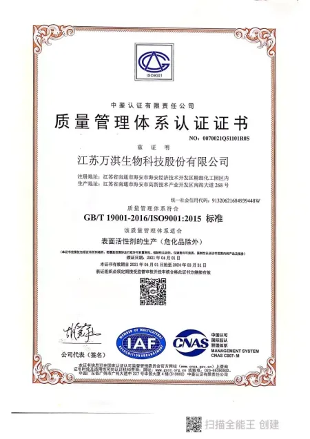 ISO9001(Chinese)
