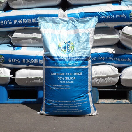 Choline Chloride Silica