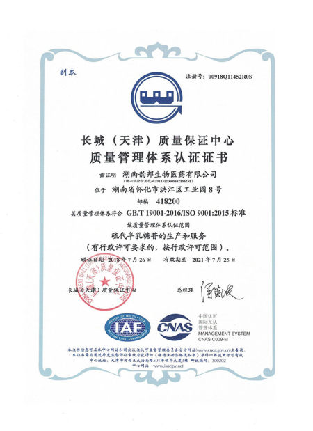 ISO9001(Chinese)