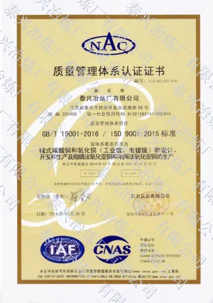 ISO9001(Chinese)