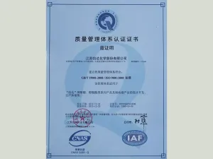 ISO9001(Chinese)