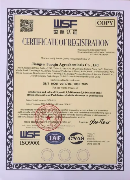 ISO9001(English)