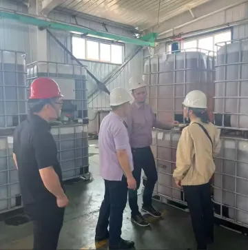 Swimming pool fungicide and algaecide, poly (2-chloroamine)