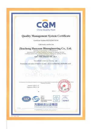 ISO9001(English)
