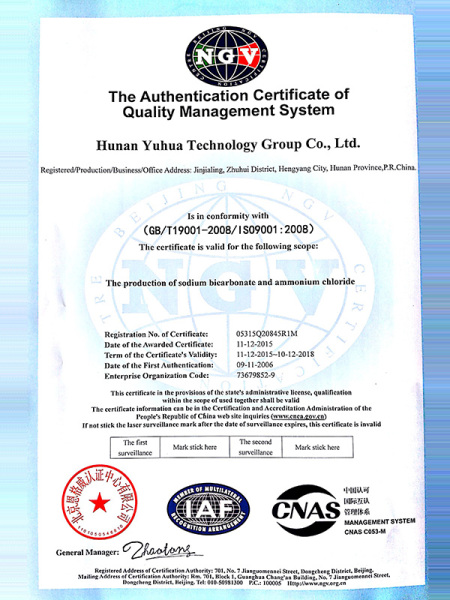 ISO9001(English)