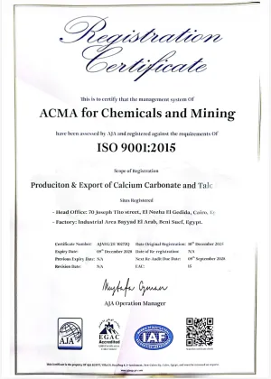 ISO9001(英文)