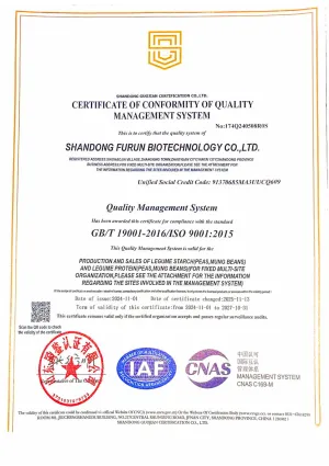 ISO9001(English)