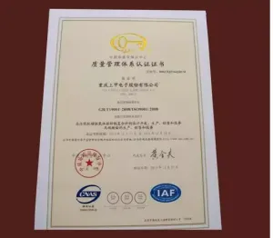 ISO9001(Chinese)