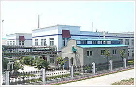 Factory Office