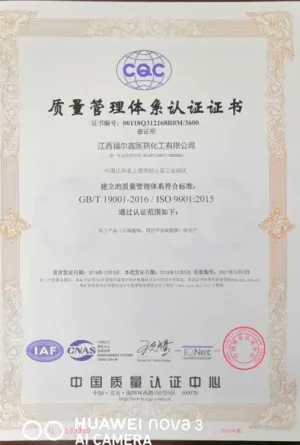 ISO9001(Chinese)