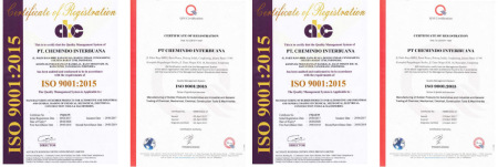 ISO9001(Chinese)