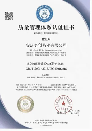 ISO9001(Chinese)