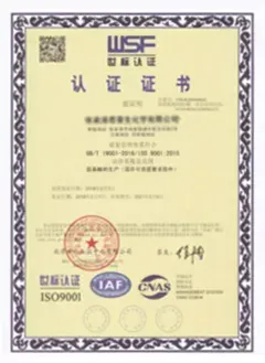 ISO9001(Chinese)