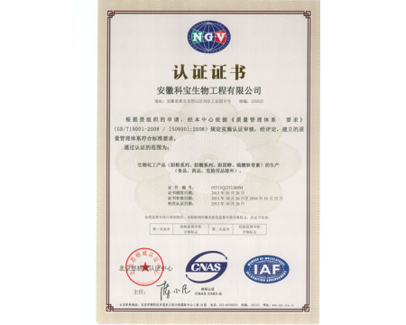 ISO9001(Chinese)