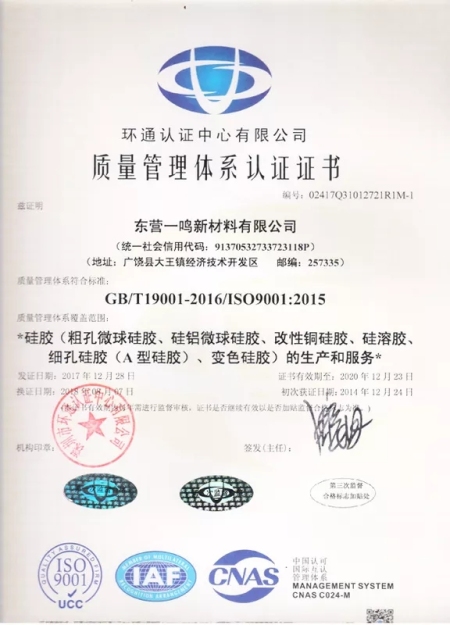 ISO9001(Chinese)