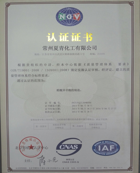 ISO9001(Chinese)