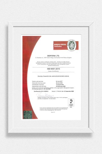 ISO9001(English)