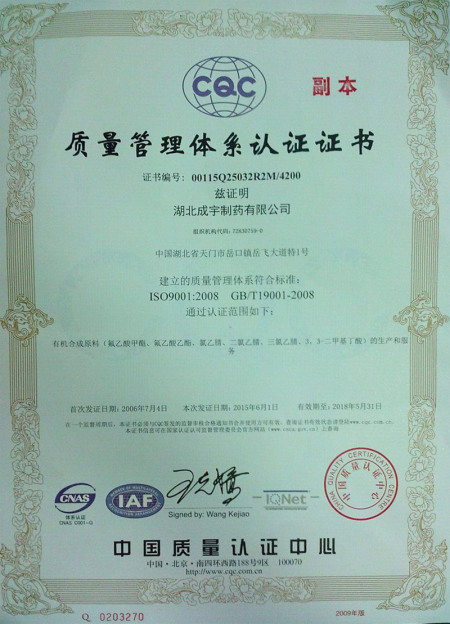 ISO9001(Chinese)