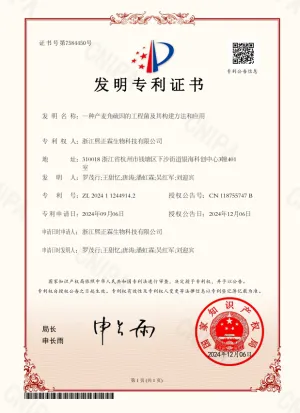 patent