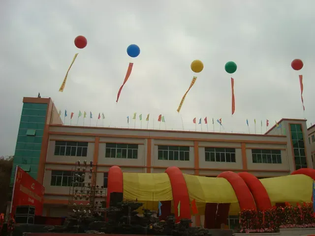 Activity
