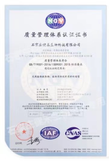 ISO9001(Chinese)