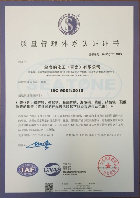 ISO9001(Chinese)