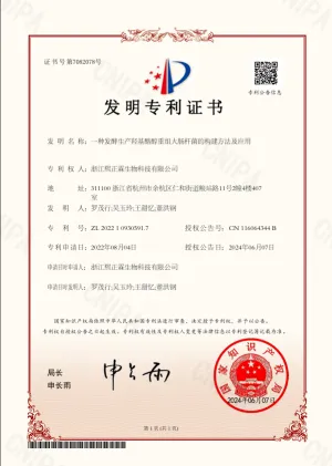 patent