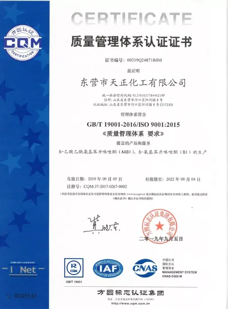 ISO9001(Chinese)
