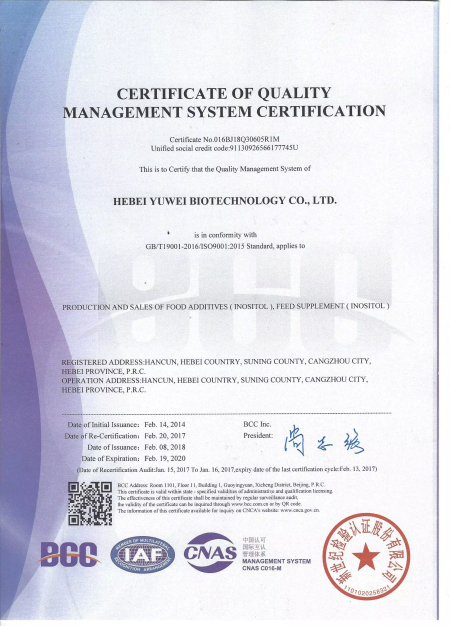 ISO9001(English)