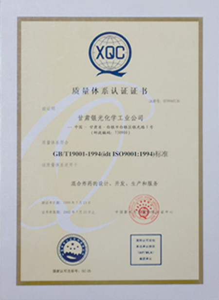 ISO9001(Chinese)