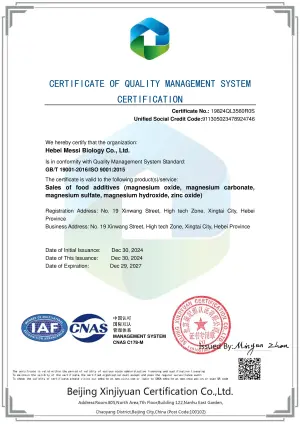 ISO9001(English)
