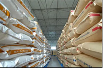 Choline Chloride Powder/CC