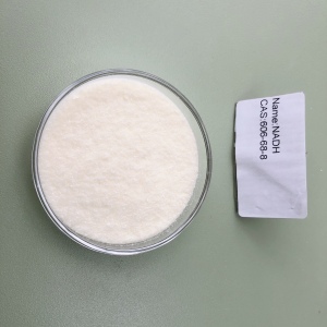 Beta-Nicotinamide Adenine Dinucleotide, Disodium salt