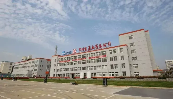 Factory Office